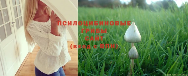 прущий лед Михайловск