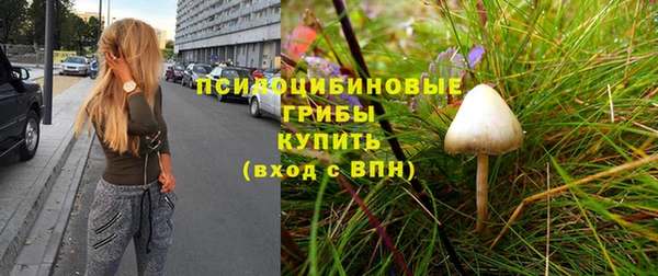 мдпв Михайлов