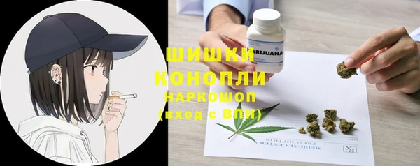 мдпв Михайлов