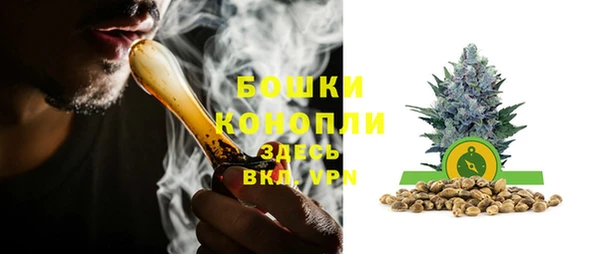 мдпв Михайлов