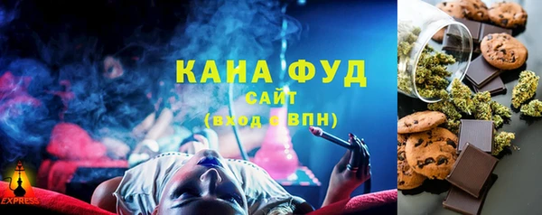 мдпв Михайлов