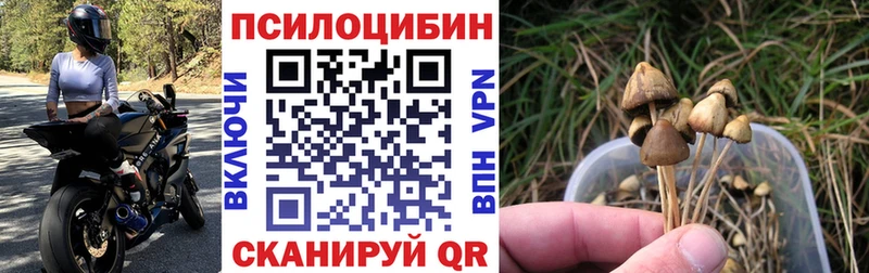 Галлюциногенные грибы Psilocybine cubensis  Купить  Нарьян-Мар 